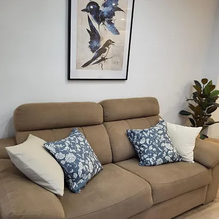 Bluebird Luxury In Americas